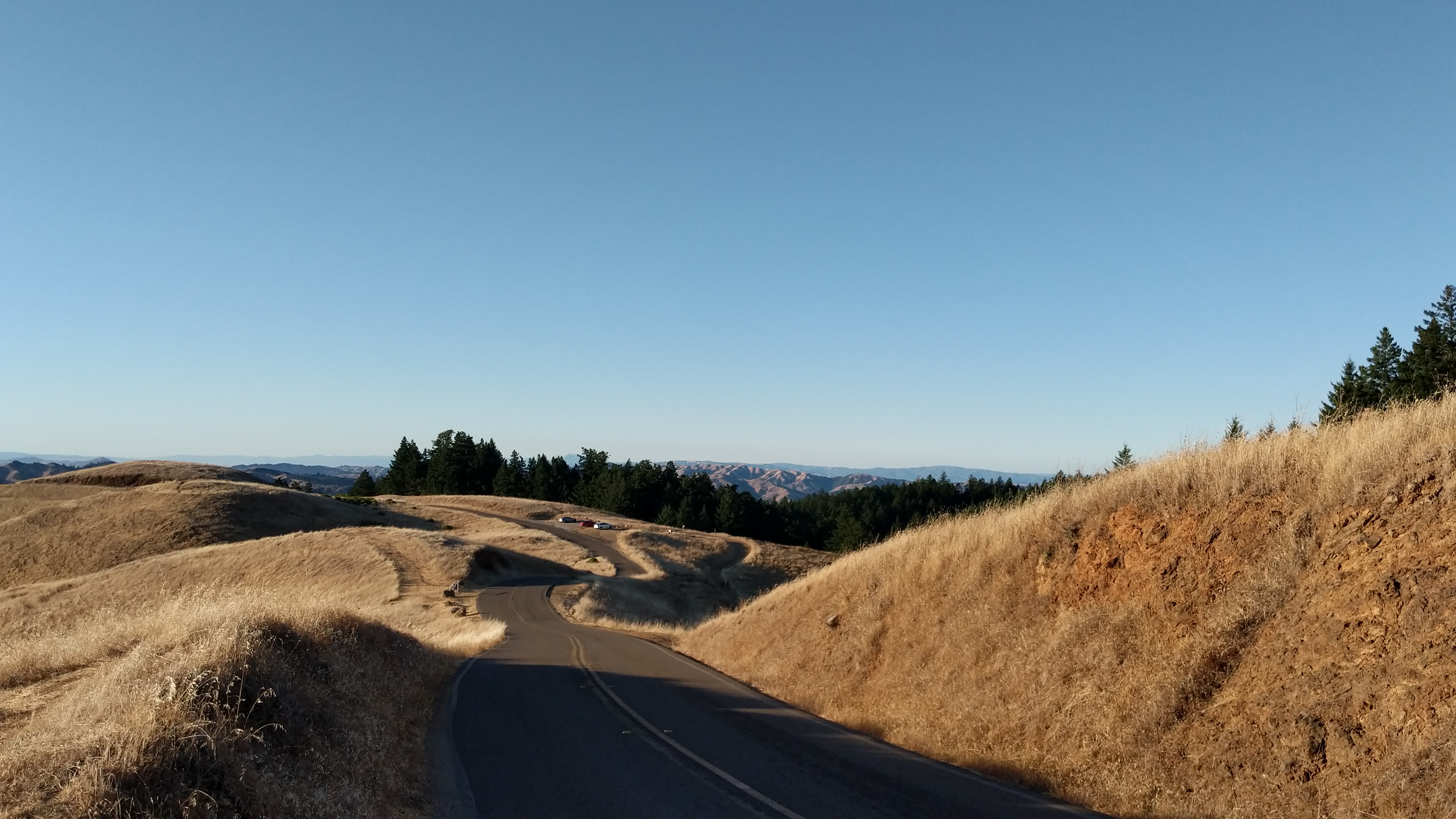 A road winding down golden Marin hills