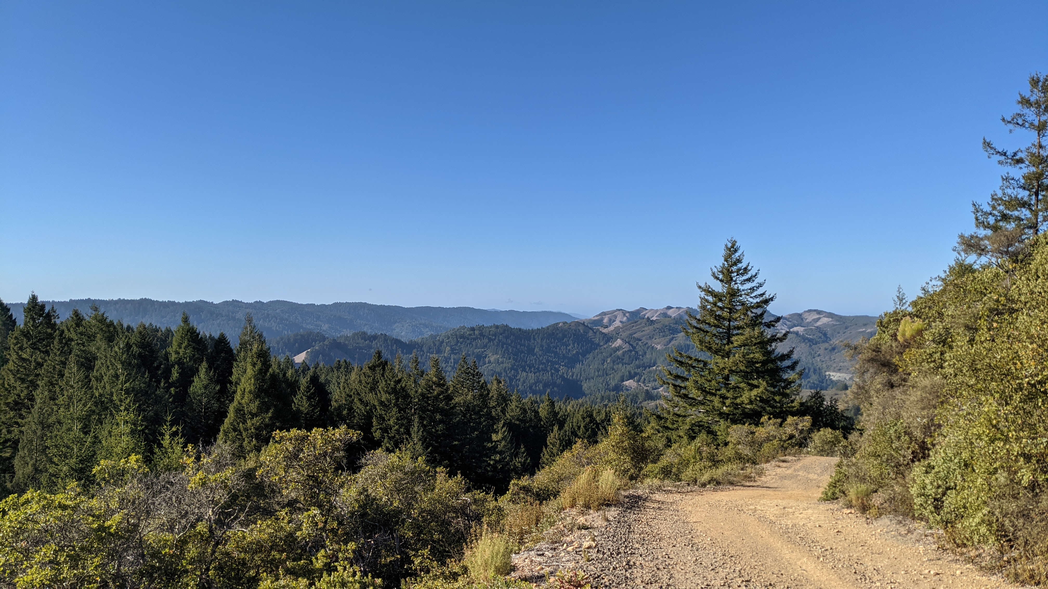 Forested Marin ridgeline rolling to the sea